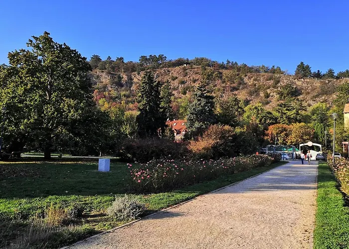 Vince Apartman